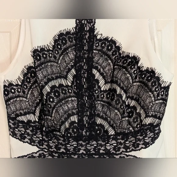 Ark & Co. Elegant Black and White Lace Dress - Picture 5 of 10